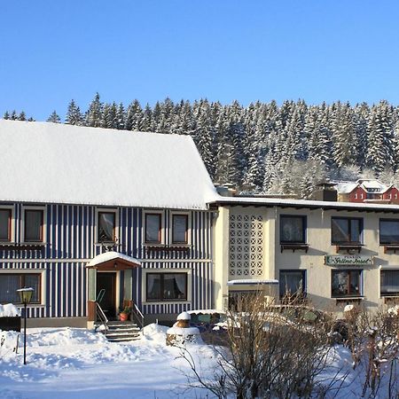 Haus Gruene Insel - Ferienwohnungen Альтенау Екстер'єр фото