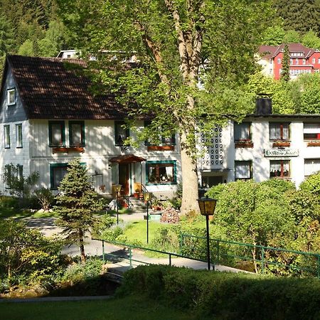 Haus Gruene Insel - Ferienwohnungen Альтенау Екстер'єр фото