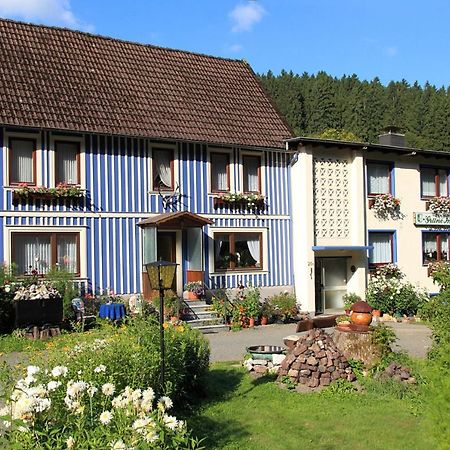 Haus Gruene Insel - Ferienwohnungen Альтенау Екстер'єр фото