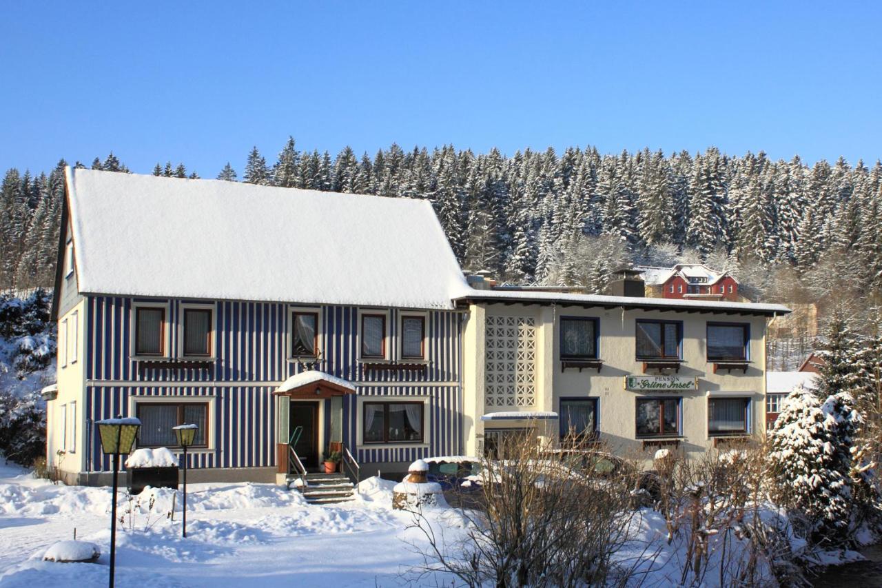 Haus Gruene Insel - Ferienwohnungen Альтенау Екстер'єр фото