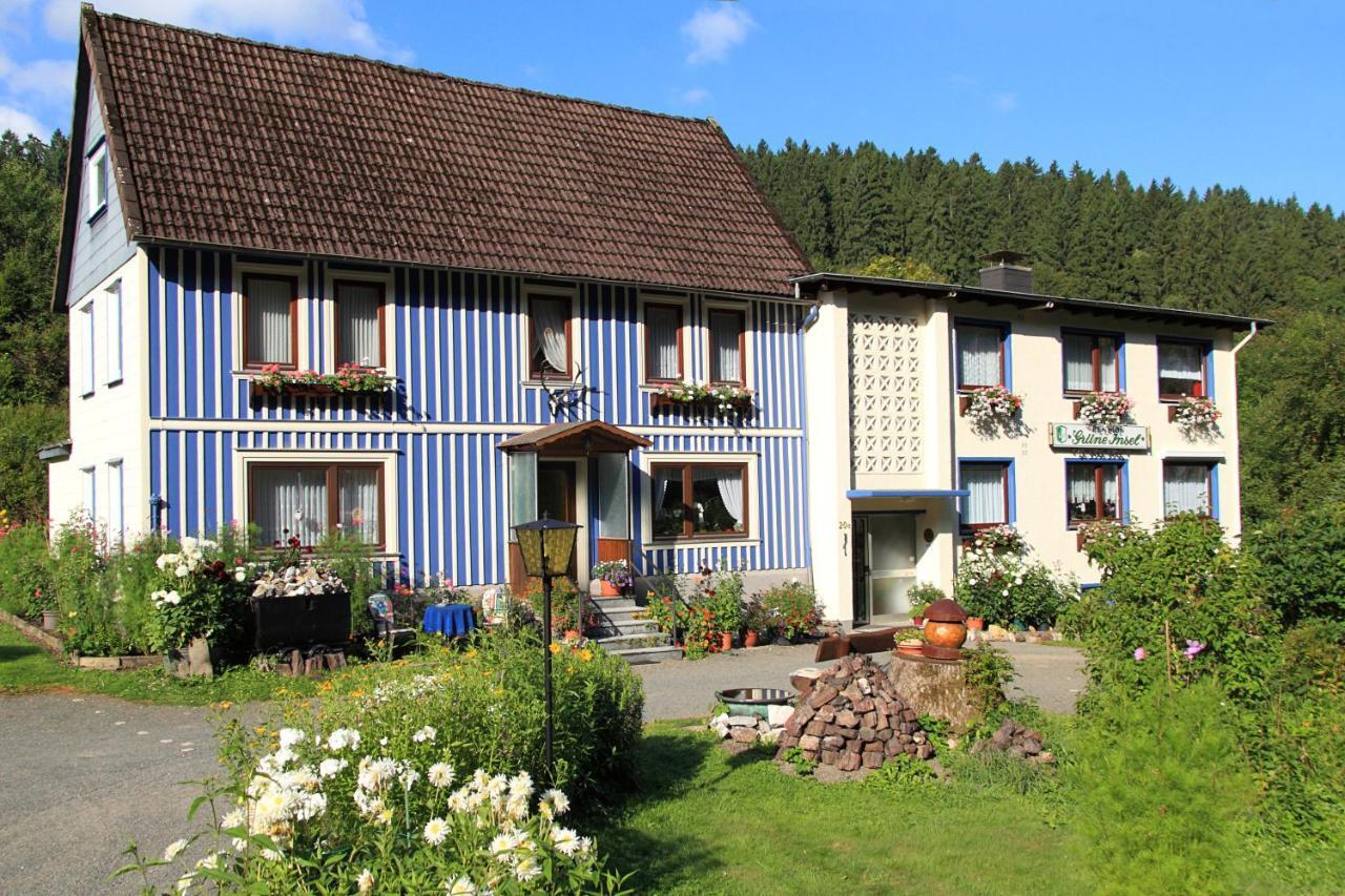 Haus Gruene Insel - Ferienwohnungen Альтенау Екстер'єр фото